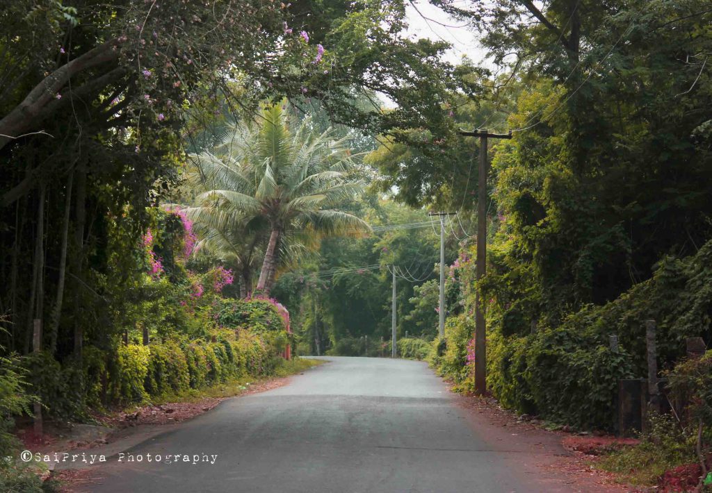 Pondicherry Pondicherry